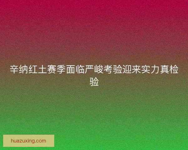 辛纳红土赛季面临严峻考验迎来实力真检验